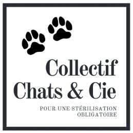 COLLECTIFS CHATS ET CIE