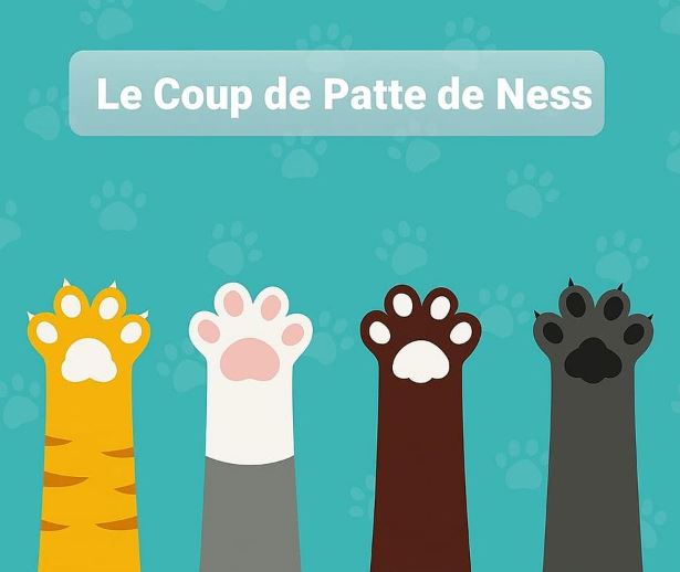 LE COUP DE PATTE DE NESS