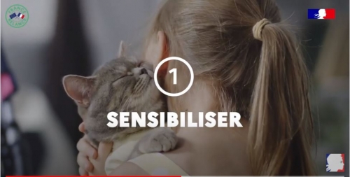 Lutte contre les abandons de chiens et chats