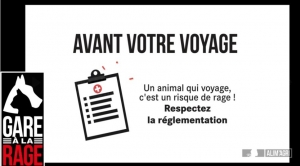 Campagne 2019 contre la rage