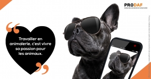 Campagne de promotion des métiers de l&#039;animalerie