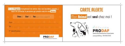 CARTE ALERTE ANIMAL &quot;Mon Animal est seul chez moi&quot;