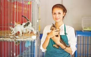 Le Bien-être animal dans les animaleries