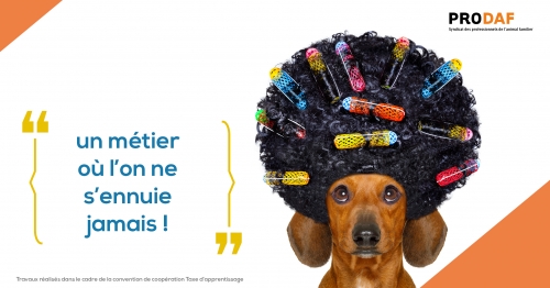Campagne de promotion des métiers de l&#039;animalerie